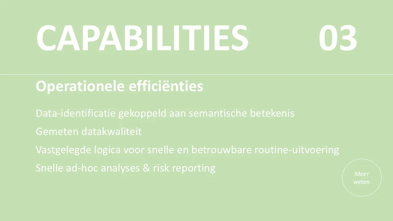 Operationele efficiënties capability summary