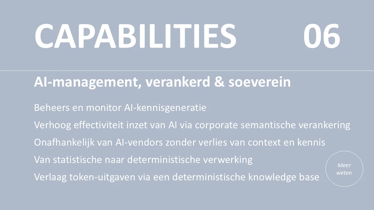 AI-management, verankerd & soeverein capability summary